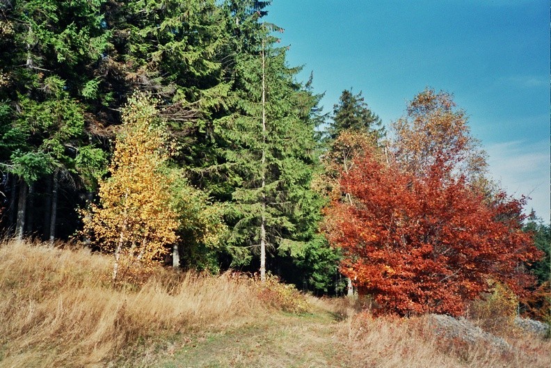 35-0031   5