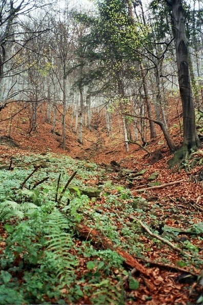 17-0059  13 -- <i>Żar's West Face</i>