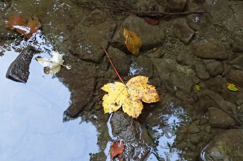 07-PA010088 -- Nadpływa jesień
