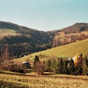 2004