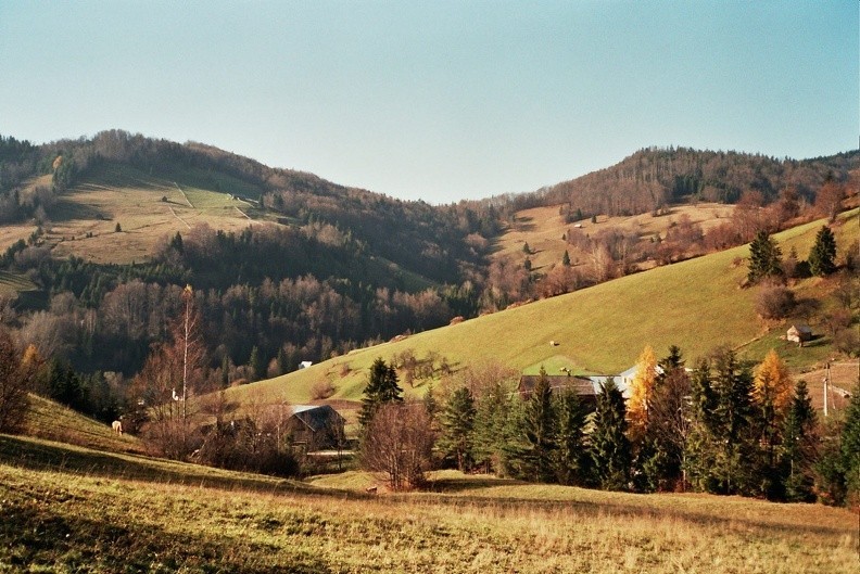 22-0142  32 -- Grzbiet Kosarzysk