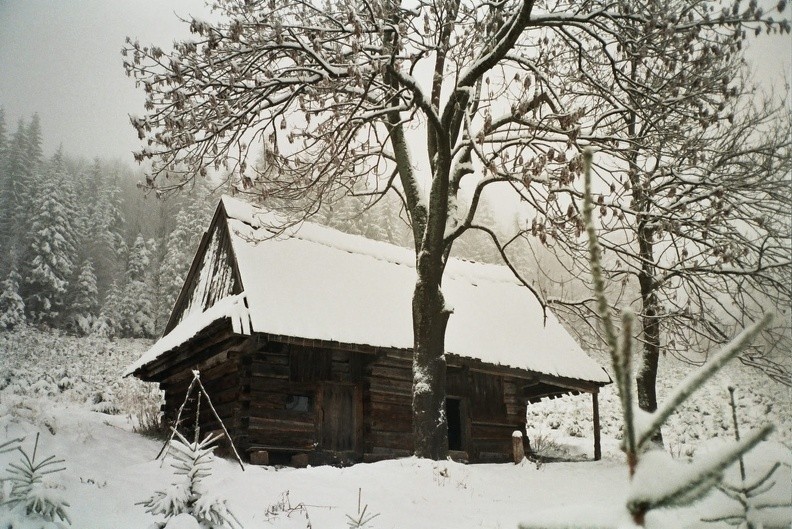 45-0192  18 -- Po zimnej nocy. Na fotografii: nasza bacówka na tzw. Popielowej Polanie.
Wskazówki dotyczące lokalizacji polany celowo zachowamy w tajemnicy :-)