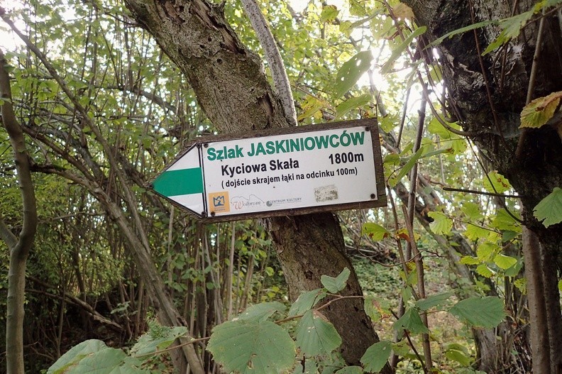 15-PA090439 -- Jedno z najtrudniejszych do wytropienia zjawisk jurajskich: widmowy Szlak Jaskiniowców