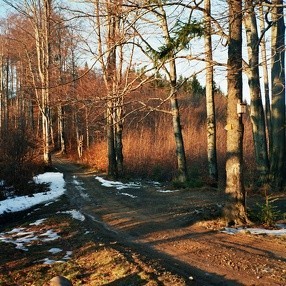 Orłowa