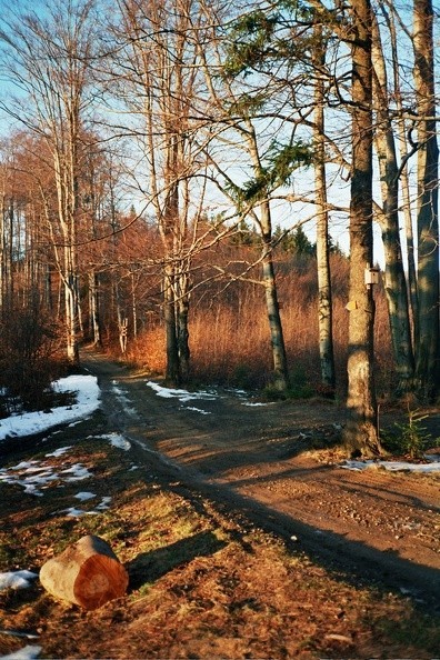 12-0534  17 -- Przełęcz Beskidek