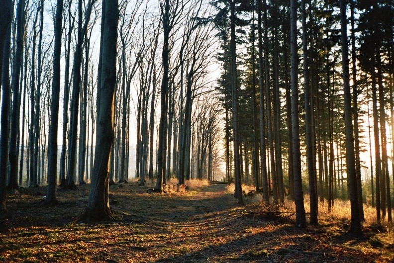 15-0524  27 -- Paralaksa pamięci