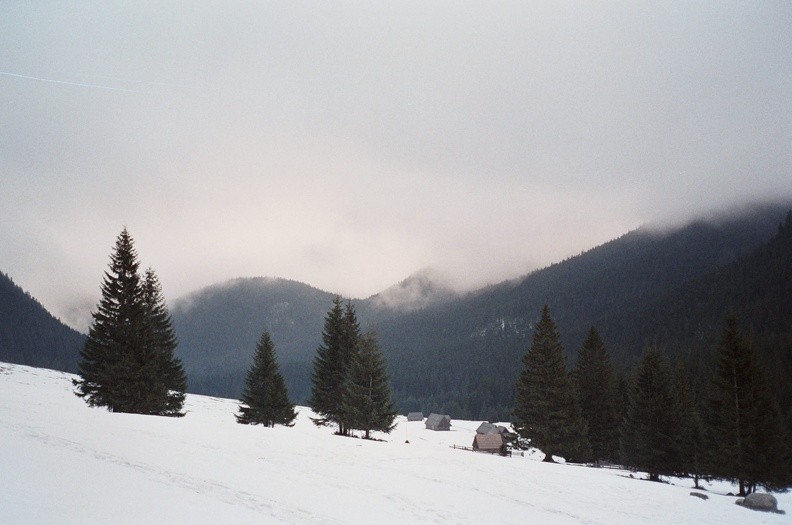 01-1118   0-20040001 -- Wtorek, 28 grudnia rano. Polana Chochołowska.
W dolinie pochmurno, szaroburo, śnieg nieco brejowaty