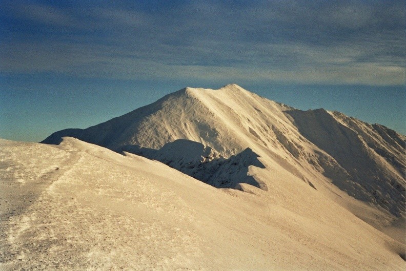 53-0181  35