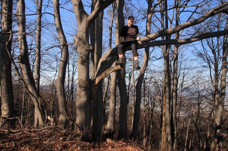 052-IMG 8034 -- Grotodrzewołaz Michał – tak perfekcyjnie opanował technikę kamuflażu arborystycznego,
że ścigające go dzieciaki popędziły gdzieś do przodu
