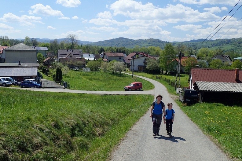 11-P5140091 -- Podejście z doliny potoku Żabnica na Bukowinę