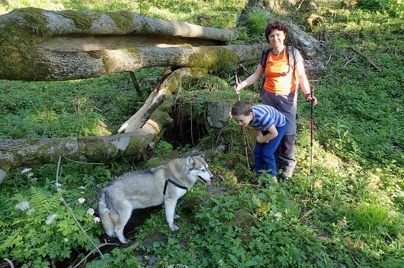 08-P5270032 -- Obłożone kamieniami i przywalone drzewem miejsce wypływu wody