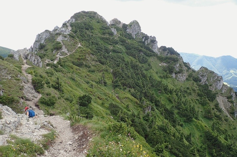 21-P7120509 -- W drodze na Veľkého Rozsutca – albo na grzbiet stegozaura