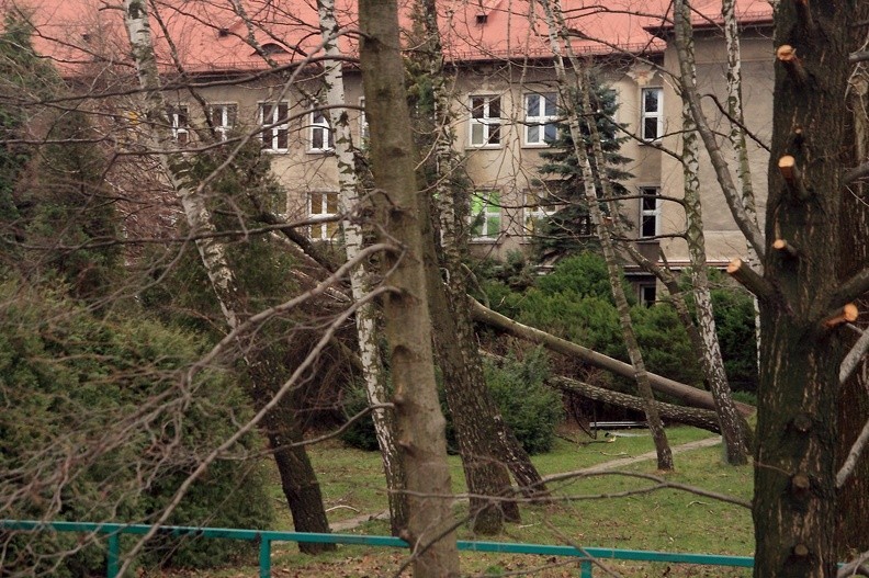 03-IMG 0500 -- Spojrzenie przez płot, z ulicy Cieszyńskiej