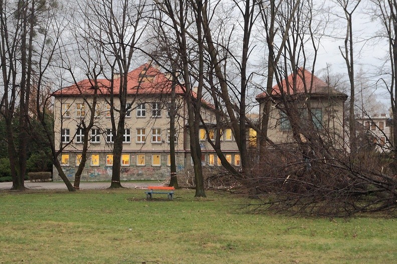 06-IMG 0516