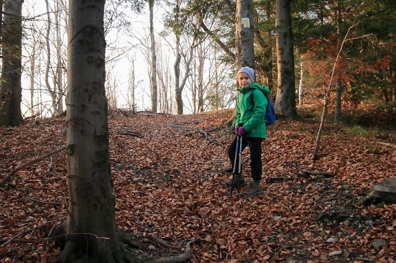 19-IMG 9894 -- Zbliża się złota godzina, kiedy docieramy na Złotą Górę, 757 m n.p.m. Jak ustalił wuj Radeck, jej nazwa "wzięła się od zgromadzonych
pod ziemią zbójnickich skarbów, których nikt do dziś jeszcze nie odnalazł. Zbójcy z Roczyn mieli tam kryjówkę – dużą pieczarę
ze zgromadzonymi skarbami. Wedle podań zbójnicy ci podczas napadów używali szczudeł, dzięki którym poruszali się dużo szybciej
i budzili przerażenie swym nadnaturalnym wzrostem" (<a href="http://www.korczyk.com.pl/sebastian/news.php?detail=n1217573336.news" target="_blank">LINK</a>). Po wysłuchaniu legendy Mikołaj z Dominiką badają kopułę szczytową, lokalizując pewne anomalie rzeźby terenu...
