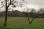08-IMG 0118