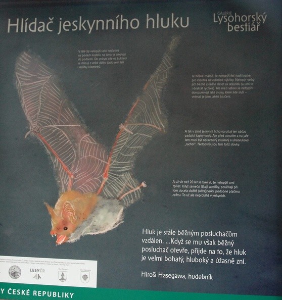 12-IMG 0793 -- Na grzbiecie Lukšinca stoi tablica z cyklu <i>Łysogórski bestiariusz</i>, zatytułowana <i>Strażnik jaskiniowego hałasu</i>. Czytamy: "język nietoperzy składa się z krótkich, niesłyszalnych dla człowieka «okrzyków». Nocek duży może ich wydawać dziesięć na sekundę (a nawet dwa razy więcej). Jednak między sobą nietoperze wymieniają również dźwięki, które ludzie słyszą – jako bzyczenie." Dalej: "w zimie jaskiniową ciszę zakłócają jedynie kapiące co pewien czas krople wody, lecz przed zaśnięciem nietoperzy oraz na wiosnę musi panować tam prawdziwy dźwiękowy i ultradźwiękowy  «zgiełk». Są ich bowiem setki." Na koniec refleksja: "Hałas pozostaje dla przeciętnego słuchacza czymś odległym. [...] Jeśli jednak ten słuchacz otworzy się na niego, wówczas odkryje, że hałas jest najbardziej bogatym, głębokim
i niesamowitym dźwiękiem" – stwierdził w jednym z wywiadów 長谷川洋, czyli Hiroshi Hasegawa, japoński artysta, przedstawiciel nurtu
<i>noise music</i>, "muzyki hałasu" (po japońsku: 騒音音楽, <i>Souon-Ongaku</i>)