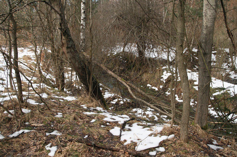 86-IMG 1582 -- Zalodzona drożyna przeistoczyła się się w cudownie błotniste wądroże
– podążamy jego (wypełnioną wodą z roztopów) "rynną"...