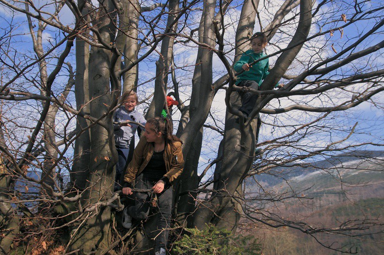 37-IMG 2043 -- <i>Beskidian Vertical Adventure Park</i> / 2