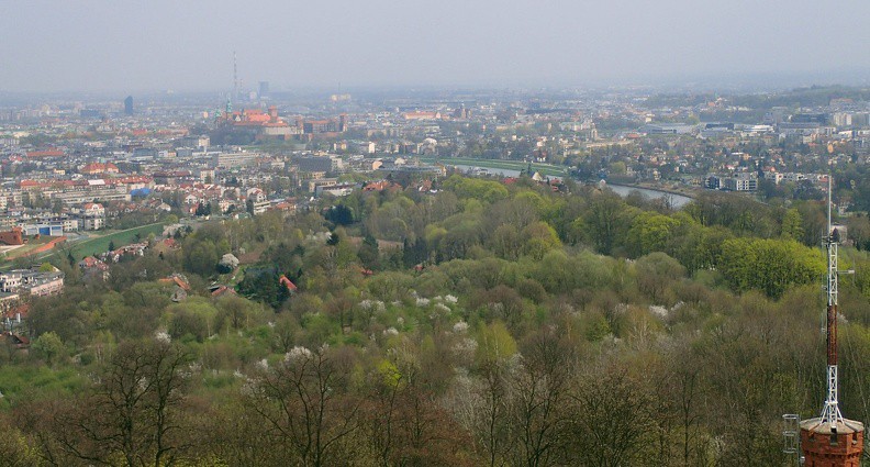 42-P4130122 -- U góry po prawej, na południowym brzegu Wisły widać Dębniki, zaś na pierwszym planie – zielony Zwierzyniec. Jego nazwa stanowi pamiątkę po XI wieku, kiedy był to teren książęcych polowań; wydaje się, że i dzisiaj gdzieś pośród tych drzew przemyka dzika zwierzyna. Jeszcze dawniej prawdopodobnie mieszkali tu i oddawali się swym tajemniczym obrzędom poganie. Gdyby kontynuować podróż w czasie, otoczyliby nas... łowcy mamutów. W 1967 roku o rzut beretem stąd (przy obecnej ulicy Vlastimila Hofmana) emerytowany wojskowy polecił zniwelować grunt pod budowę domu; zdumieni robotnicy ujrzeli wielkie kości. Tak odkryto pozostałości około 20 myśliwskich obozowisk; wydobyto setki narzędzi i 6000 fragmentów ponad stu egzemplarzy megassaków; wcięty teren służył jako pułapka. W tym samym miejscu w XIX wieku Austriacy zbudowali fort ziemny – przerwali prace ledwie pół metra nad "cmentarzyskiem"... Stanowisko otrzymało nazwę Kraków Spadzista i samo w sobie stanowi naukową sensację. Przed 27 tys. lat trwało zlodowacenie; drzew prawie nie było, dominowała roślinność stepowo-tundrowa. Ówcześni ludzie reprezentowali kulturę grawecką; prawdopodobnie wypuszczali się tu z ziem należących dziś do Czech i Słowacji, na przykład przez Bramę Morawską (mijali także miejsce, gdzie teraz stoi nasz dom!). Ostatnio pojawiła się kolejna sensacja. Długo nie wiedzieliśmy, jakich technik używali prehistoryczni myśliwi; sądzono, że ograniczali się do zasadzek i podstępów.
W 2002 roku znaleziono tu mamucie żebro; w lutym bieżącego roku badacze z Instytutu Systematyki i Ewolucji Zwierząt PAN w Krakowie zidentyfikowali w nim 7-milimetrowy odłamek krzemiennego grotu. Pechowy mamut został więc trafiony oszczepem. Mamy do czynienia
z pierwszym takim odkryciem w Europie; wcześniej dwóch podobnych dokonano jedynie na dalekiej Syberii. Plik ze zdjęciem: <a href="http://www.dziennikgorski.type.pl/zdjecia/pojedyncze/P4130122.jpg" target="_blank">LINK</a>