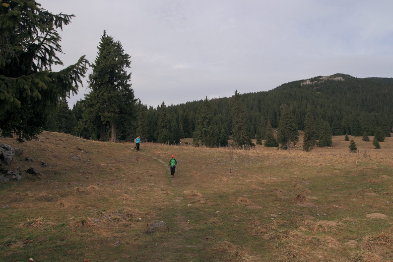 087-IMG 2470 -- Niebawem wkraczamy na Średnią Polanę (Strednou Poľanou)...