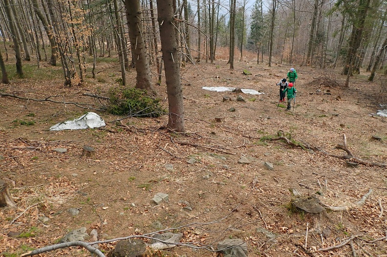 43-P4100493 -- ...