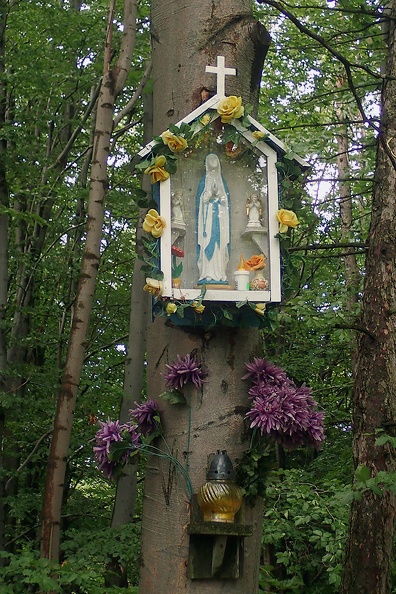 11-P6240234 -- Leśna kapliczka w Pasemku Bukowskim
– zbliżenie