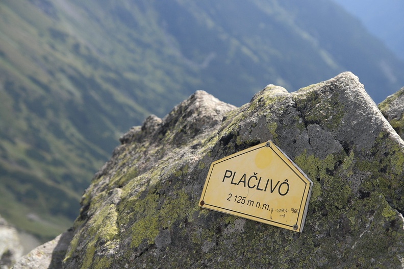 095-IMG 4519 -- Rohacz Płaczliwy (Plačlivô), 2125 m n.p.m.
Słyszymy głośny szum traw