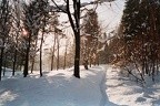 01-0121  11