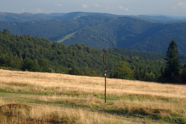43-P8160220 -- Na południu, po przeciwnej stronie doliny Brennicy: masyw Kotarza