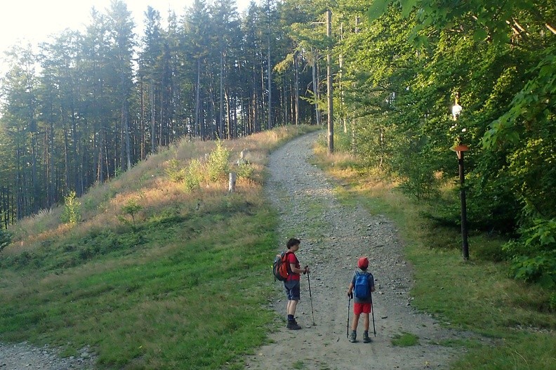 50-P8160240 -- Siodło pod Przykrą