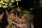 07-IMG 4903