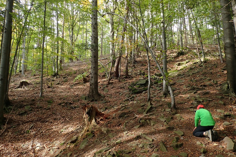 31-PA070062 -- Uroczysko Ostrego