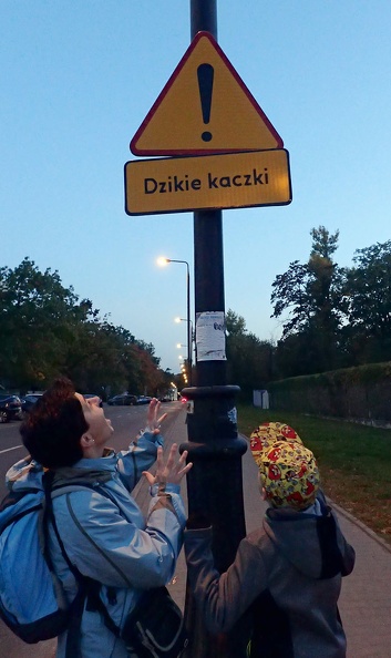 25-PA090142 -- Podobno po okolicy grasuje
wściekła dzika Kaczka