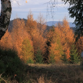Potrójna