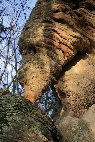38-IMG 5401 -- Gdyby Bernini współpracował z Dalím,
zaprojektowaliby coś w tym stylu