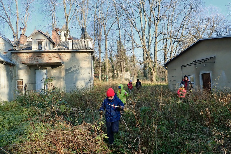 05-PB170060 -- Minąwszy zamek, przedzieramy się między zeschniętymi badylami