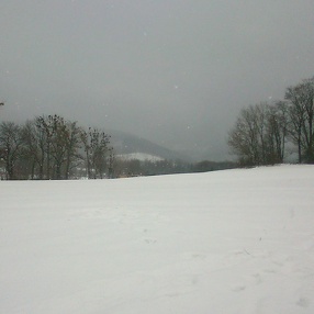 Treningi i spacery / 5