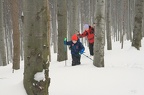 04-IMG 5781