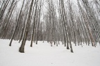 03-IMG 5778