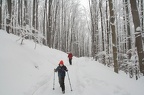 06-IMG 5789