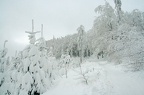 08-IMG 5799