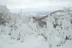 09-IMG 5805