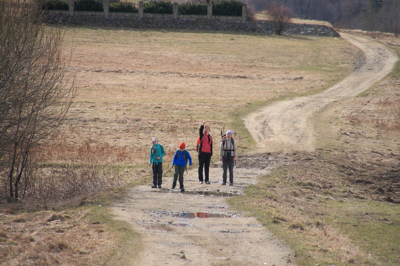 041-IMG 5981 -- Na niebie śpiewa skowronek
