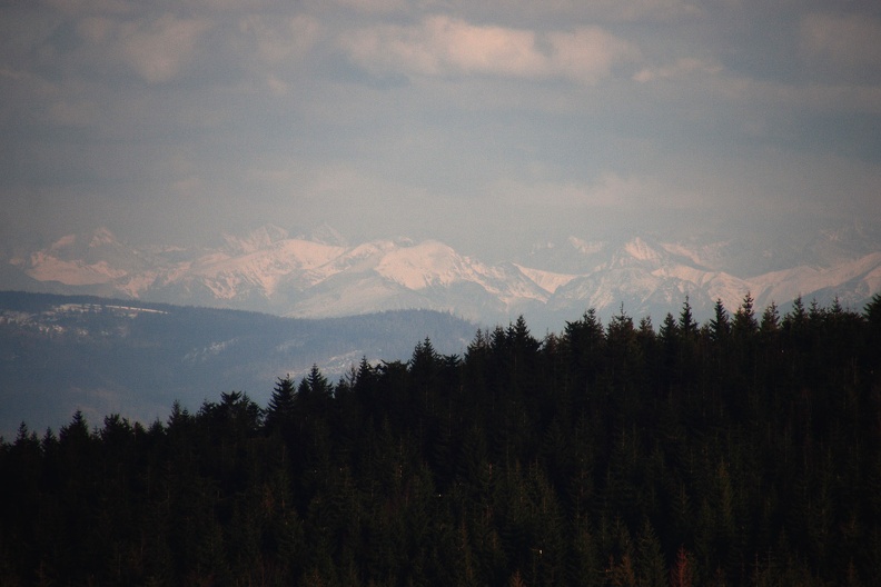 111-IMG 7077 -- Z oddali jeszcze raz nieśmiało uśmiechają się do nas Tatry. Teraz nieco lepiej wyeksponowany jest odcinek panoramy niedostatecznie widoczny na ich wcześniejszym zdjęciu. Z prawej strony kadru dostrzegamy sinawy, "pomarszczony" żlebami Kominiarski Wierch. Zza jego prawej części wystaje bielszy Tomany Wierch, jeszcze zaś głębiej tłoczą się szczyty Grani Hrubego (ustawionej względem obiektywu
w trochę nietypowy sposób). Bliżej lewej krawędzi obrazu mamy rozłożyste Czerwone Wierchy: są to, również od prawej, Ciemniak, Krzesanica i Małołączniak. Nad Małołączniakiem wyrasta zlewająca się z niebem, ale zasługująca na swą nazwę Wysoka; obok niej mamy Rysy (z ukośną rysą), którym towarzyszą niepozorne Niżnie Rysy. Całkiem po lewej, z cienia wyłania się jeszcze Świnica. Powiększenie: <a href="http://www.dziennikgorski.type.pl/zdjecia/pojedyncze/IMG_7077.jpg" target="_blank">LINK</a>