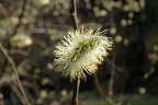 07-P4140604