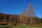 11-P4160047
