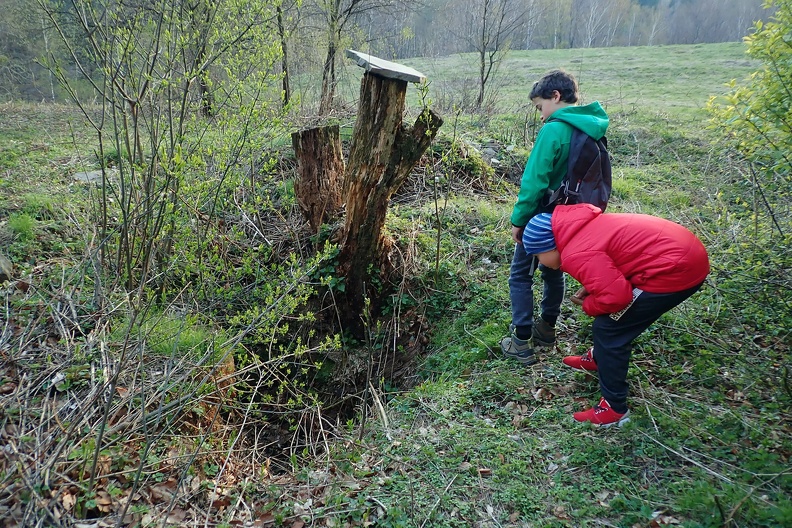 27-P4160111 -- Po dawnych gospodarzach tej części Grabki została piwniczka