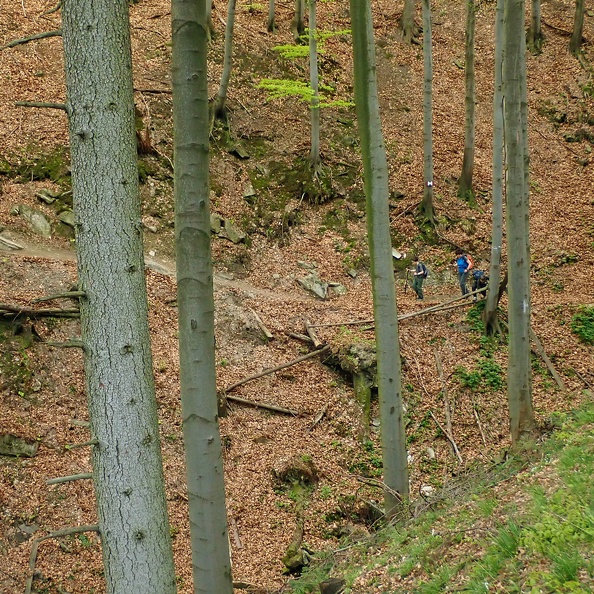05-P4240169 -- Na zdjęciu: Mikołaj, Ines i Ярослав
docierają do odcinka technicznego