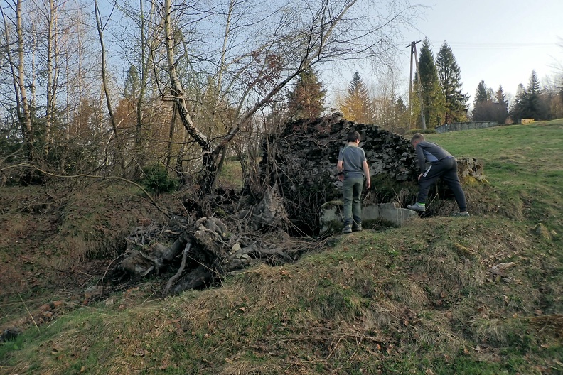 18-P4240232 -- Przyglądamy się im z bliska
